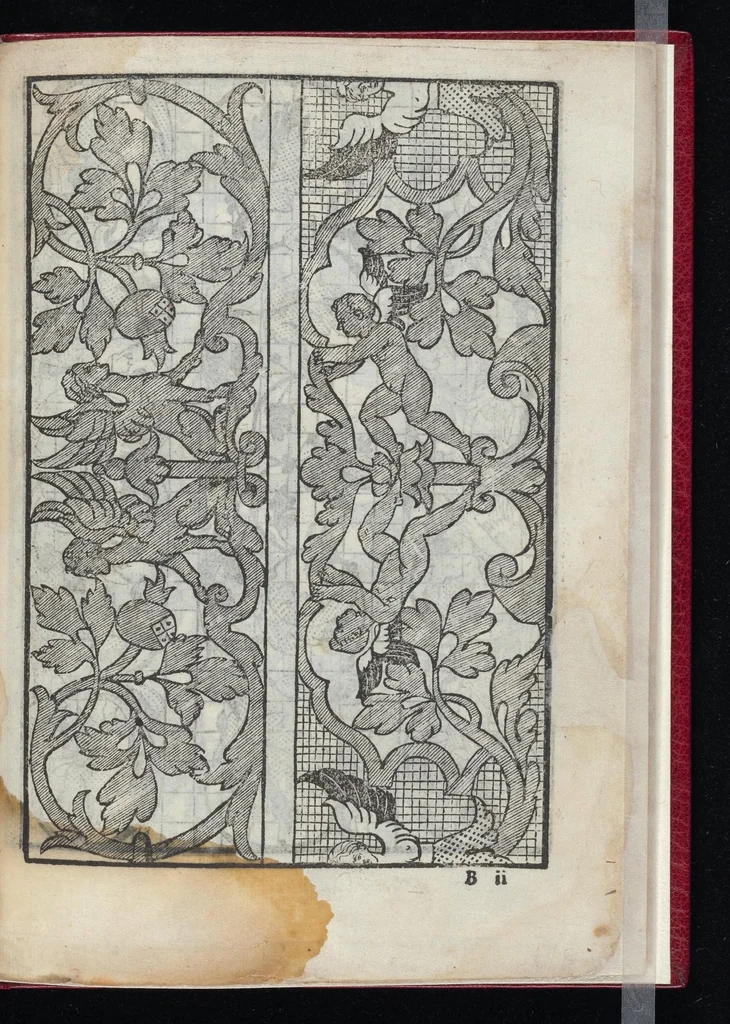 An illustration from Lvcidario di recami : nel qval si contengo molte & varie sorti di dissegni : a pvnti in aere, et pvnti tagliaci & a fogliami & con figure, & di piu altre maniere, come al presente si vsano non piu venute in luce : per leqvli ogni elevato ingegno potrà in diuersi modi commodissimamamente seruirsi, 1563, leaf 24