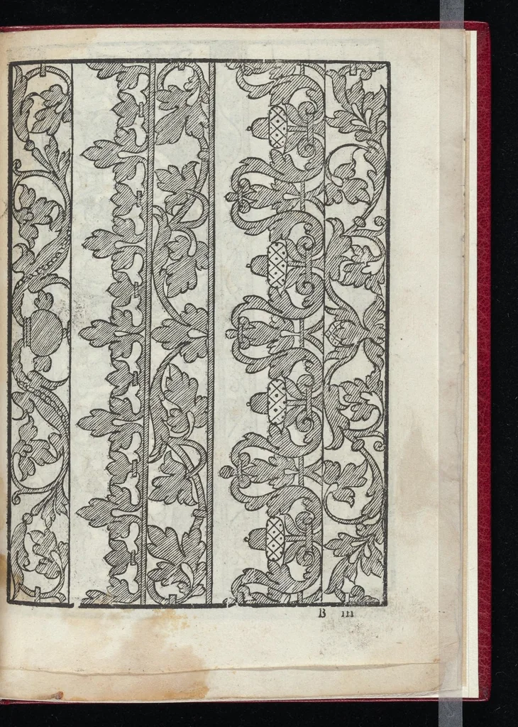 An illustration from Lvcidario di recami : nel qval si contengo molte & varie sorti di dissegni : a pvnti in aere, et pvnti tagliaci & a fogliami & con figure, & di piu altre maniere, come al presente si vsano non piu venute in luce : per leqvli ogni elevato ingegno potrà in diuersi modi commodissimamamente seruirsi, 1563, leaf 26