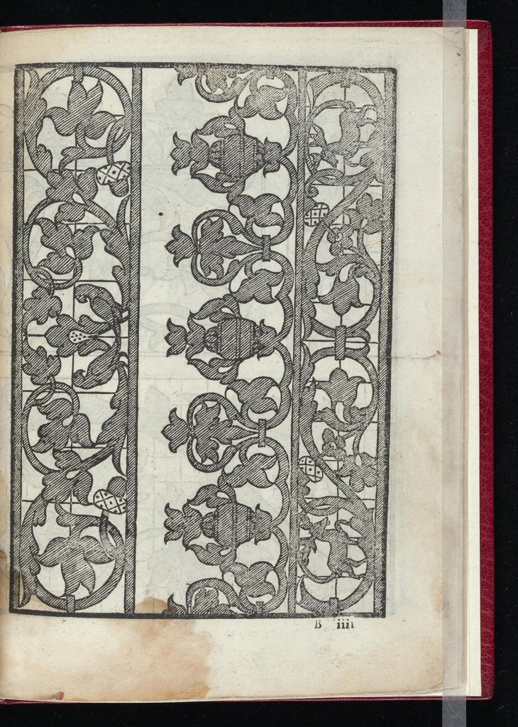 An illustration from Lvcidario di recami : nel qval si contengo molte & varie sorti di dissegni : a pvnti in aere, et pvnti tagliaci & a fogliami & con figure, & di piu altre maniere, come al presente si vsano non piu venute in luce : per leqvli ogni elevato ingegno potrà in diuersi modi commodissimamamente seruirsi, 1563, leaf 28