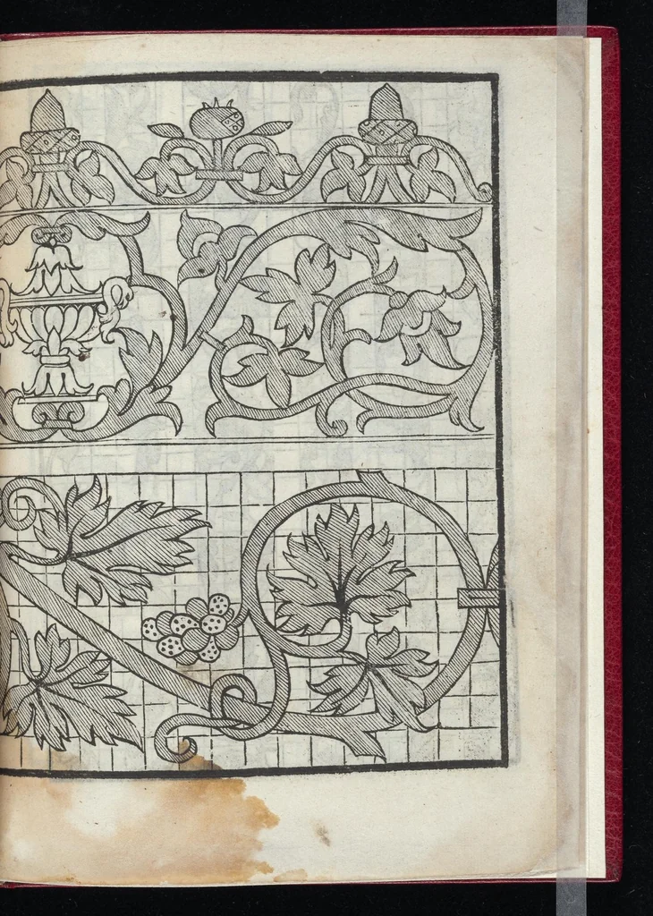 An illustration from Lvcidario di recami : nel qval si contengo molte & varie sorti di dissegni : a pvnti in aere, et pvnti tagliaci & a fogliami & con figure, & di piu altre maniere, come al presente si vsano non piu venute in luce : per leqvli ogni elevato ingegno potrà in diuersi modi commodissimamamente seruirsi, 1563, leaf 30