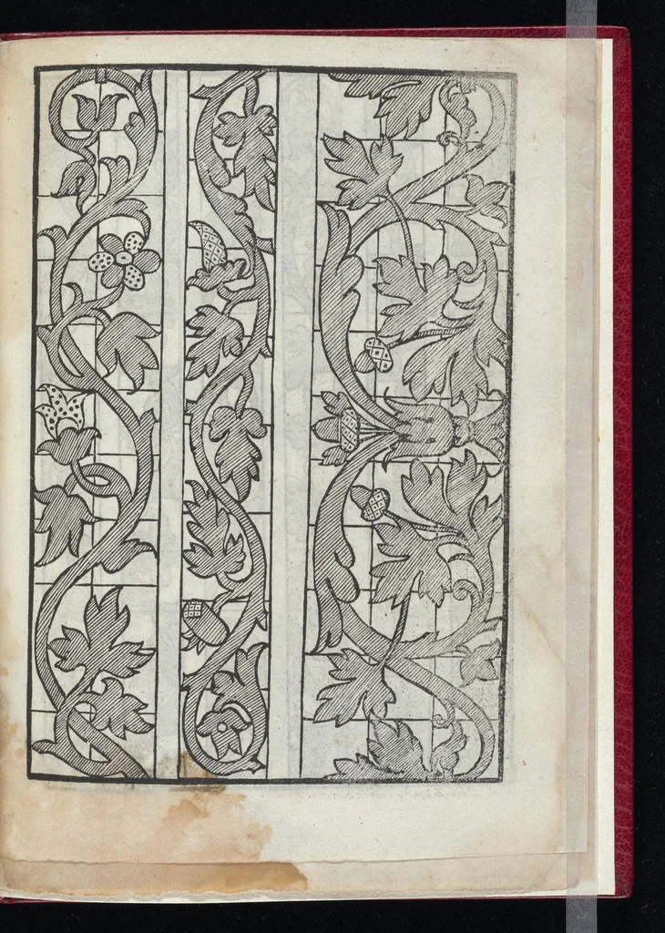 An illustration from Lvcidario di recami : nel qval si contengo molte & varie sorti di dissegni : a pvnti in aere, et pvnti tagliaci & a fogliami & con figure, & di piu altre maniere, come al presente si vsano non piu venute in luce : per leqvli ogni elevato ingegno potrà in diuersi modi commodissimamamente seruirsi, 1563, leaf 32