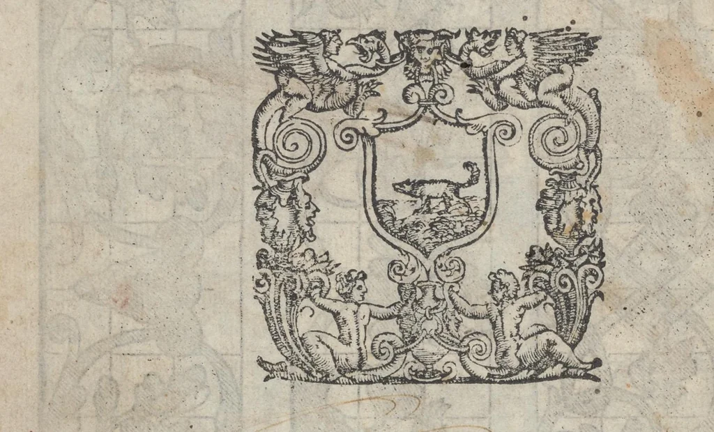 An illustration from Lvcidario di recami : nel qval si contengo molte & varie sorti di dissegni : a pvnti in aere, et pvnti tagliaci & a fogliami & con figure, & di piu altre maniere, come al presente si vsano non piu venute in luce : per leqvli ogni elevato ingegno potrà in diuersi modi commodissimamamente seruirsi, 1563, leaf 37