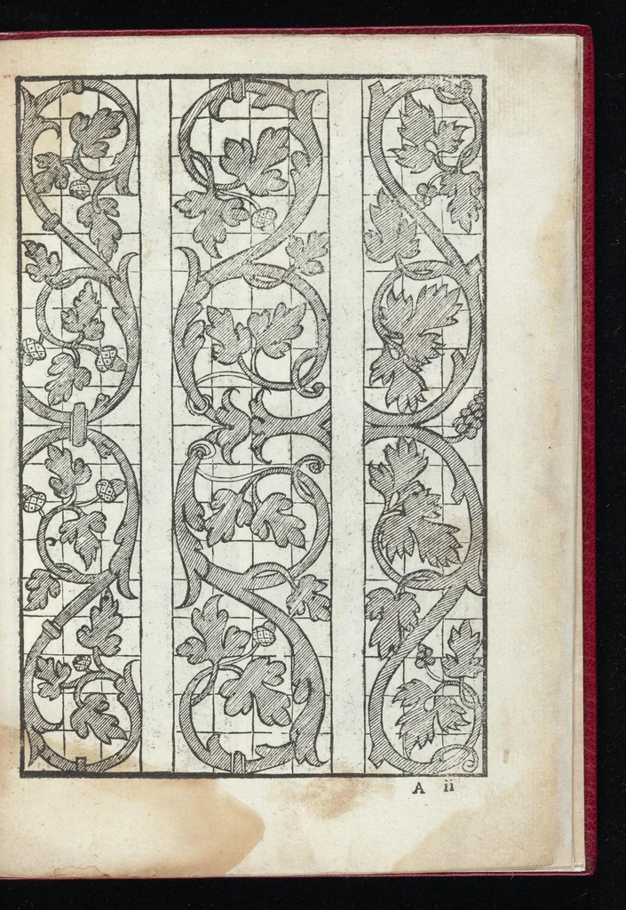 An illustration from Lvcidario di recami : nel qval si contengo molte & varie sorti di dissegni : a pvnti in aere, et pvnti tagliaci & a fogliami & con figure, & di piu altre maniere, come al presente si vsano non piu venute in luce : per leqvli ogni elevato ingegno potrà in diuersi modi commodissimamamente seruirsi, 1563, leaf 8