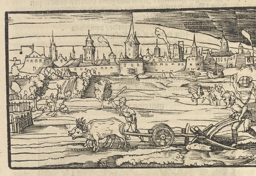 An illustration from Des hochberümptesten Geschicht Schreybers Justini warhafftige Hystorien, die er auss Trogo Pompeio gezoge[n] vn[d] inn vierzig vier Bücher aussgeteylt darinn er von vil Künigreychen der Welt wie die auff vnnd Abgang genom[m]en beschryben, 1531, leaf 243
