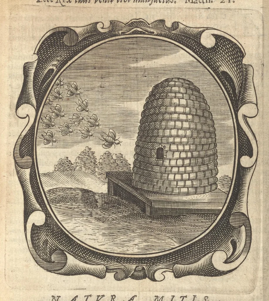 An illustration from Lux evangelica sub velum sacrorum emblematum recondita in anni dominicas selecta historia & morali doctrina variè adumbrata, 1655, leaf 350