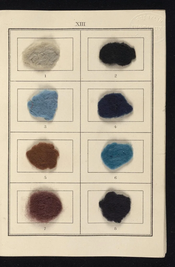 An illustration from Dyeing : comprising the dyeing and bleaching of wool, silk, cotton, flax, hemp, china grass, &c., 1888, leaf 26