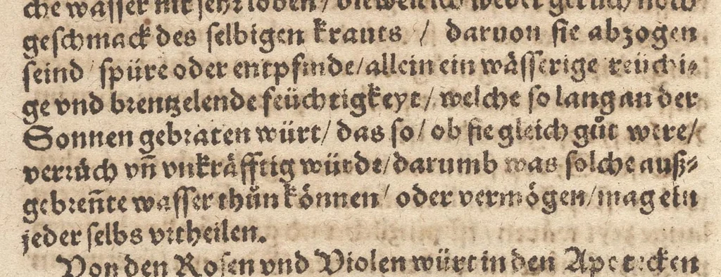 An illustration from Der erste [-ander] Theyl der kleynen teütschen Apoteck, Confect oder Latwergen Büchlins : darin[n] begriffen warhafftige, künstliche, gerechte Vnderweysung vn[nd] Anzeygung aller Latwergen, Confect, Conseruen, Einbeytzungen vnnd Einmachungen von macherley Früchten, Blůmen, Kreüttern vn[nd] Wurtzeln, sampt andern künstlichen vnd anmütigen Stucken, wie solche inn den Apotecken gemacht vnd inn grossem Werdt gehalten vnd verkaufft werden ... auch nützliche Erklärung der Natur, Krafft vnnd Würckung diser Stuck, warzů ein jedes nutzlich gebraucht werden mög zeitlichs Leben zůerhalten vnd schwäre Kranckheyt zůuertreiben, 1559, leaf 113