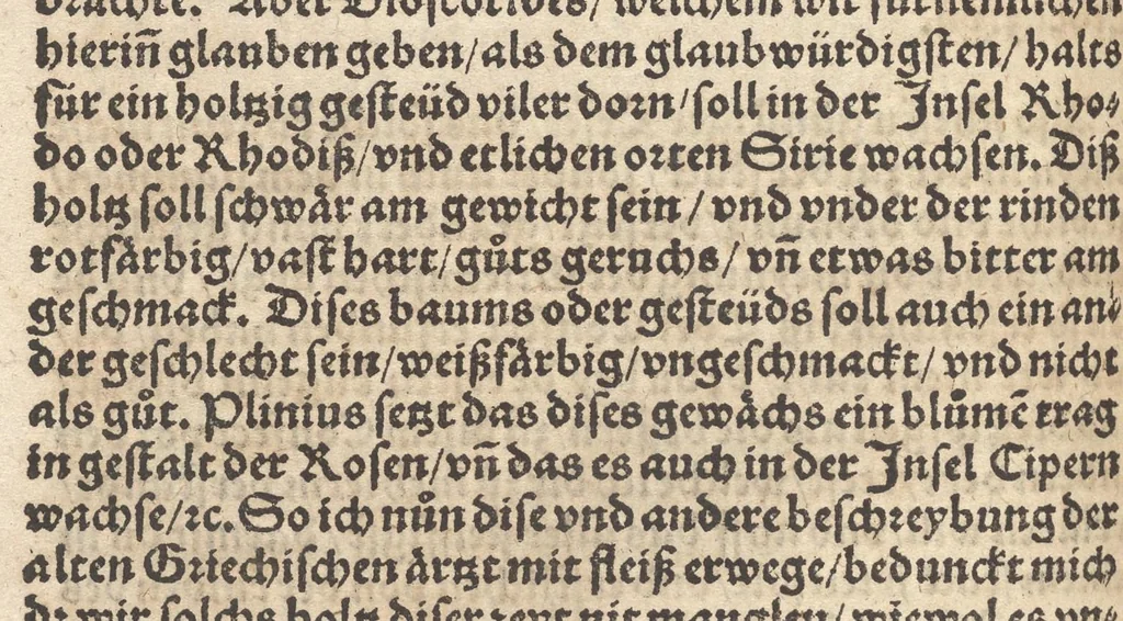 An illustration from Der erste [-ander] Theyl der kleynen teütschen Apoteck, Confect oder Latwergen Büchlins : darin[n] begriffen warhafftige, künstliche, gerechte Vnderweysung vn[nd] Anzeygung aller Latwergen, Confect, Conseruen, Einbeytzungen vnnd Einmachungen von macherley Früchten, Blůmen, Kreüttern vn[nd] Wurtzeln, sampt andern künstlichen vnd anmütigen Stucken, wie solche inn den Apotecken gemacht vnd inn grossem Werdt gehalten vnd verkaufft werden ... auch nützliche Erklärung der Natur, Krafft vnnd Würckung diser Stuck, warzů ein jedes nutzlich gebraucht werden mög zeitlichs Leben zůerhalten vnd schwäre Kranckheyt zůuertreiben, 1559, leaf 301