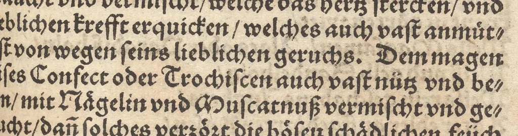An illustration from Der erste [-ander] Theyl der kleynen teütschen Apoteck, Confect oder Latwergen Büchlins : darin[n] begriffen warhafftige, künstliche, gerechte Vnderweysung vn[nd] Anzeygung aller Latwergen, Confect, Conseruen, Einbeytzungen vnnd Einmachungen von macherley Früchten, Blůmen, Kreüttern vn[nd] Wurtzeln, sampt andern künstlichen vnd anmütigen Stucken, wie solche inn den Apotecken gemacht vnd inn grossem Werdt gehalten vnd verkaufft werden ... auch nützliche Erklärung der Natur, Krafft vnnd Würckung diser Stuck, warzů ein jedes nutzlich gebraucht werden mög zeitlichs Leben zůerhalten vnd schwäre Kranckheyt zůuertreiben, 1559, leaf 436