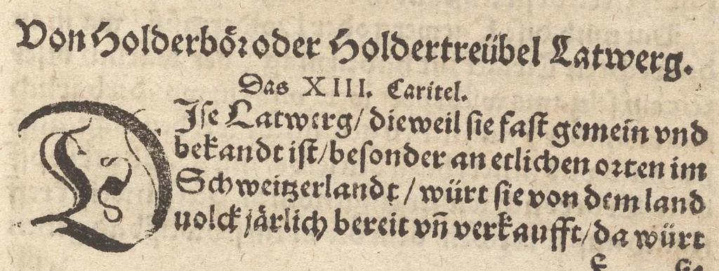 An illustration from Der erste [-ander] Theyl der kleynen teütschen Apoteck, Confect oder Latwergen Büchlins : darin[n] begriffen warhafftige, künstliche, gerechte Vnderweysung vn[nd] Anzeygung aller Latwergen, Confect, Conseruen, Einbeytzungen vnnd Einmachungen von macherley Früchten, Blůmen, Kreüttern vn[nd] Wurtzeln, sampt andern künstlichen vnd anmütigen Stucken, wie solche inn den Apotecken gemacht vnd inn grossem Werdt gehalten vnd verkaufft werden ... auch nützliche Erklärung der Natur, Krafft vnnd Würckung diser Stuck, warzů ein jedes nutzlich gebraucht werden mög zeitlichs Leben zůerhalten vnd schwäre Kranckheyt zůuertreiben, 1559, leaf 44