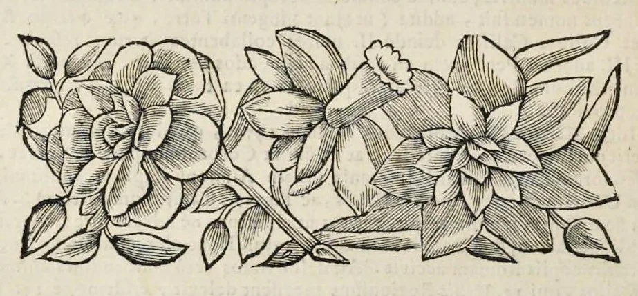 An illustration from Numismata pontificum Romanorum quae a tempore Martini V. usque ad annum M. DC. XCIX vel authoritate publica, vel privato genio in lucem prodiere, 1699, leaf 123