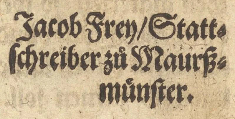 An illustration from Die Gartengesellschafft : das ander Theil dess Rollwagens : darinn mancherley frölich Gsprech, Schimpfreden, Speywerck vnnd sonst kurtzweilige Schwenck vnnd Bossen, von Historien vnnd Fabeln zů finden : in Gärten, Zechen vnnd auff dem Feld, sehr lustig zů lesen ; jetzt widerumb von newem mit Fleiss vbersehen, gemehrt, vnd mit schönen Figuren geziert, sampt einem ordenlichen Register, 1565, leaf 12