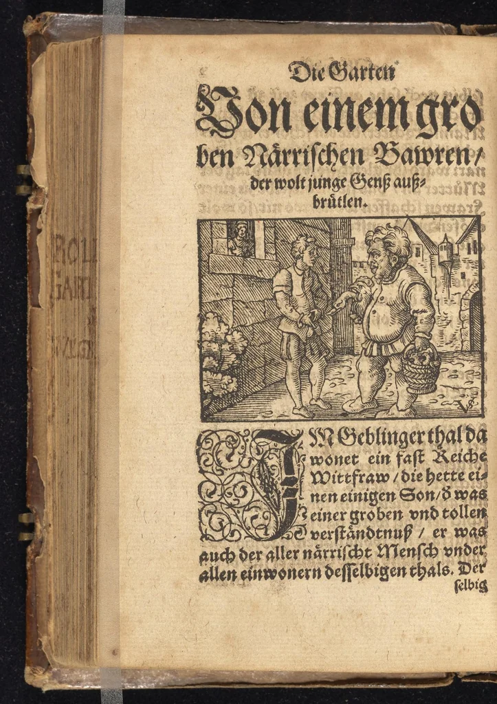 An illustration from Die Gartengesellschafft : das ander Theil dess Rollwagens : darinn mancherley frölich Gsprech, Schimpfreden, Speywerck vnnd sonst kurtzweilige Schwenck vnnd Bossen, von Historien vnnd Fabeln zů finden : in Gärten, Zechen vnnd auff dem Feld, sehr lustig zů lesen ; jetzt widerumb von newem mit Fleiss vbersehen, gemehrt, vnd mit schönen Figuren geziert, sampt einem ordenlichen Register, 1565, leaf 13