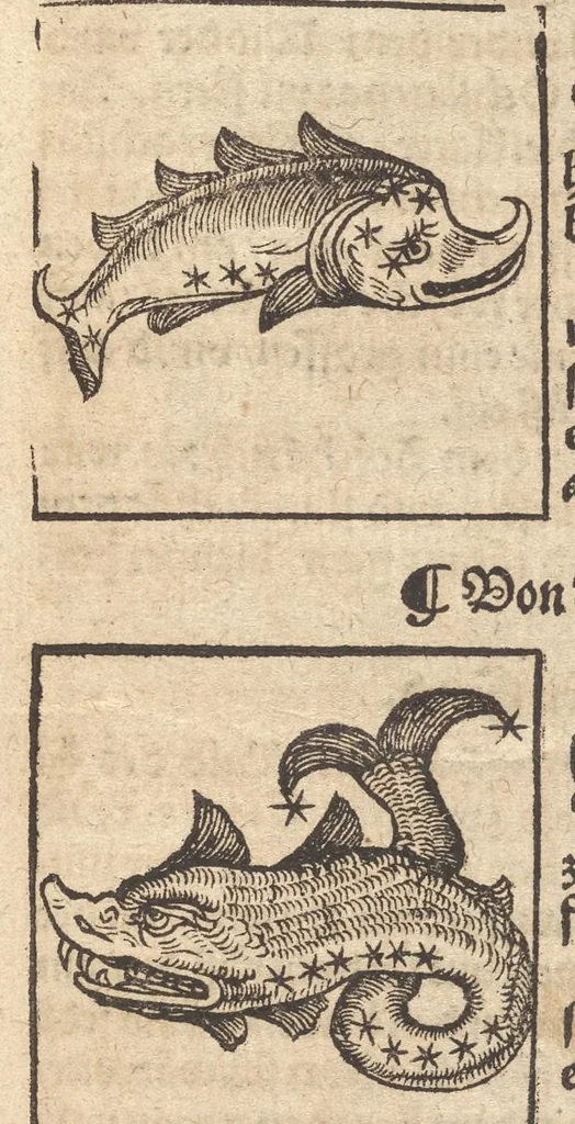 An illustration from Himels Lauffs Wirckung vnd natürliche Influentz der Planeten, Gestirn vnd Zeychen : auss Grund der Astronomei, nach jeder Zeit, Jar, Tag vnd Stunden Constellation : In Natiuiteten, zur Artznei, Wolfart, vnd allem Leben der Menschen zuwissen von Nöten : mitsampt astronomischer vnd mathematischer Instrument, als Astrolabien, Quadranten, Compäst, Sonnuhren vnd Nocturnal, künstlicher Zůrichtung vnd nützlichem Gebrauch : alles Innhalt beigelegten Registers, 1564, leaf 182