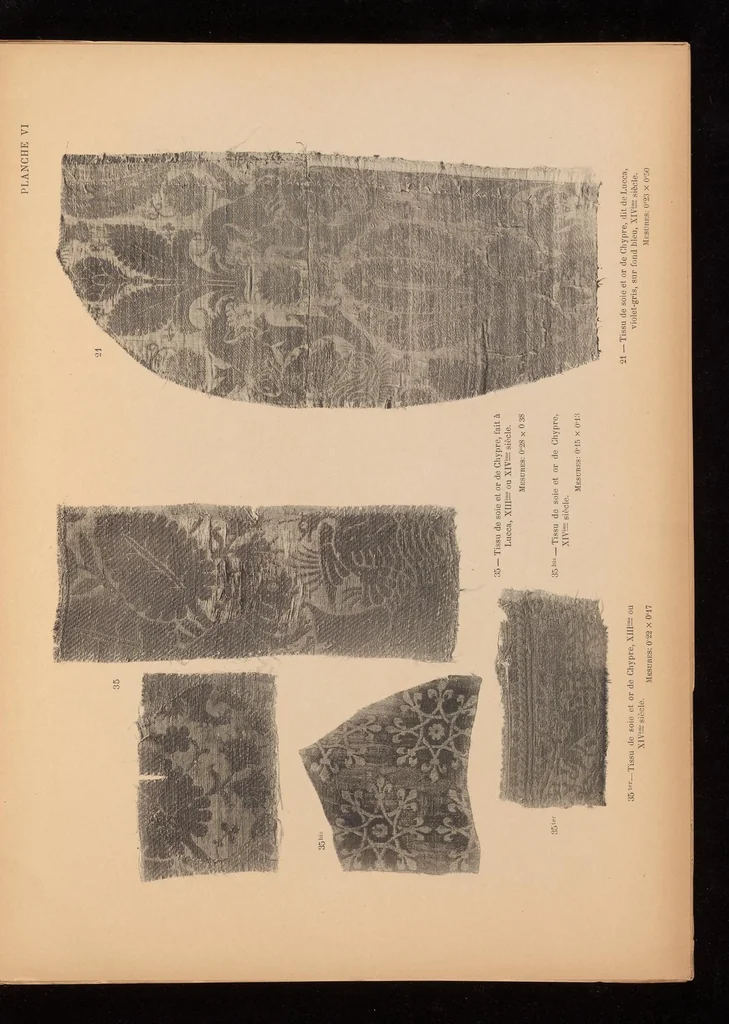 An illustration from Catalogue de la collection de tissus anciens de D. Francisco Miquel y Badia, 1900, leaf 16