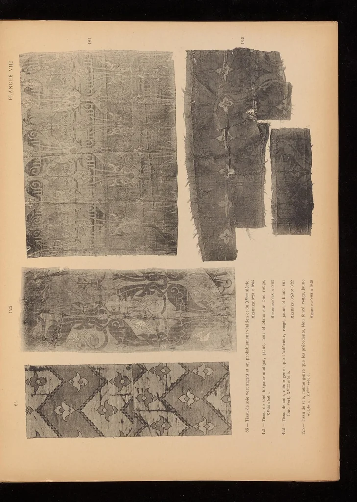 An illustration from Catalogue de la collection de tissus anciens de D. Francisco Miquel y Badia, 1900, leaf 20