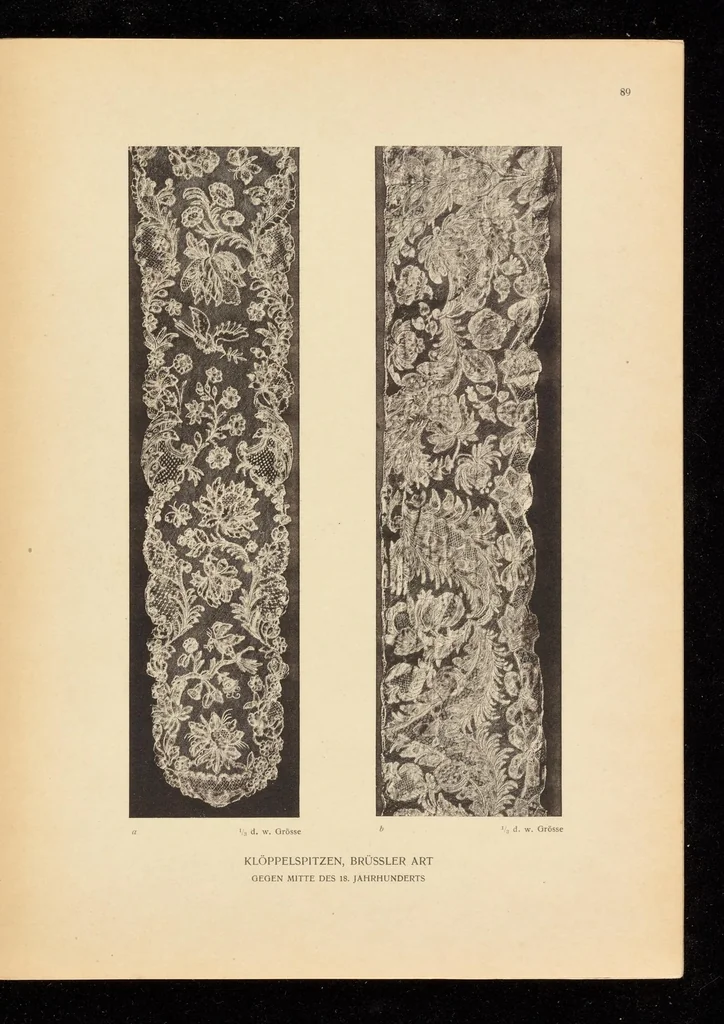 An illustration from Entwicklungsgeschichte der Spitze : mit Besonderer Rücksicht auf die Spitzen-Sammlung des K.K. Österreichischen Museums für Kunst und Industrie in Wien, 1910, leaf 402