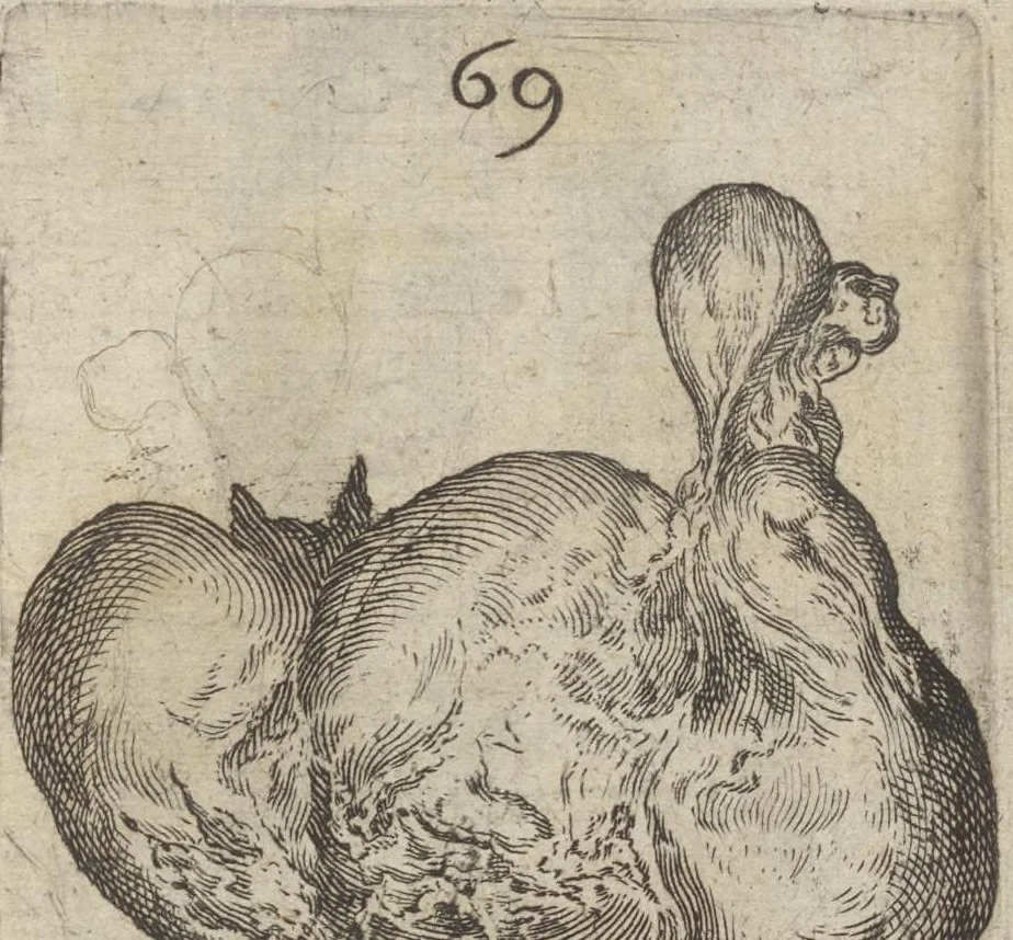 An illustration from Monstrorum historia memorabilis : monstrosa humanorum partuum miracula : stupendis conformationum formulis ab vtero materno enata : viuis exemplis, obseruationibus, & picturis, referens : accessit analogicum argumentum de monstris brutis : Supplementi loco ad observationes medicas Schenkianas edita, 1609, leaf 106