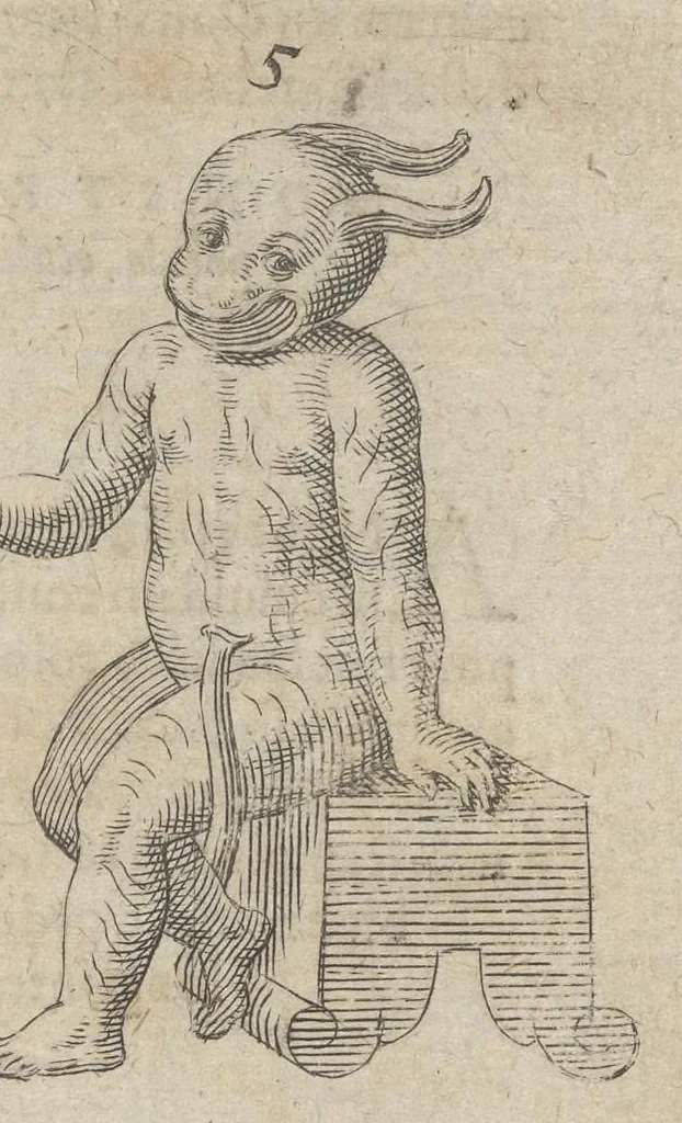 An illustration from Monstrorum historia memorabilis : monstrosa humanorum partuum miracula : stupendis conformationum formulis ab vtero materno enata : viuis exemplis, obseruationibus, & picturis, referens : accessit analogicum argumentum de monstris brutis : Supplementi loco ad observationes medicas Schenkianas edita, 1609, leaf 16