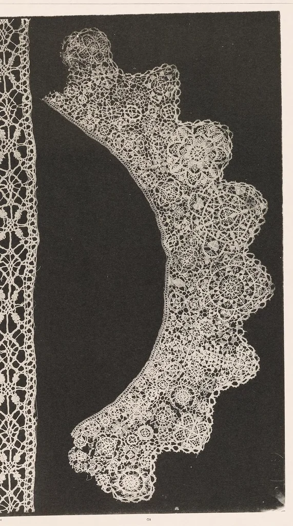 An illustration from La dentelle; 30 photographies d'après nature reproduites en phototypie, 1884, leaf 16