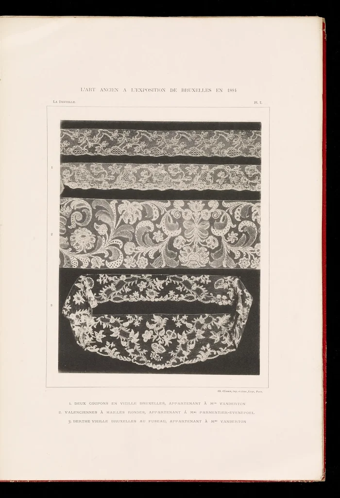 An illustration from La dentelle; 30 photographies d'après nature reproduites en phototypie, 1884, leaf 26
