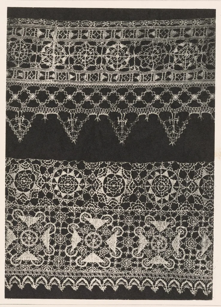 An illustration from La dentelle; 30 photographies d'après nature reproduites en phototypie, 1884, leaf 30