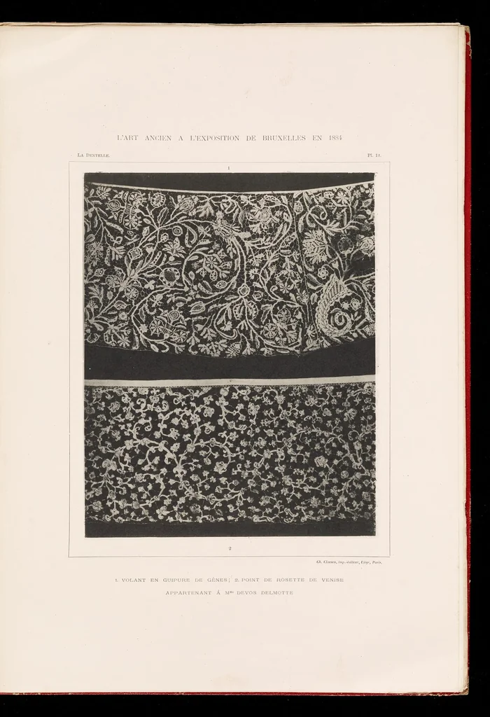 An illustration from La dentelle; 30 photographies d'après nature reproduites en phototypie, 1884, leaf 40