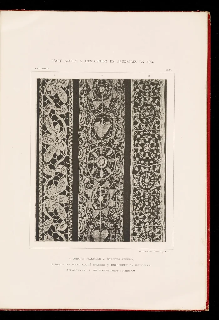 An illustration from La dentelle; 30 photographies d'après nature reproduites en phototypie, 1884, leaf 54