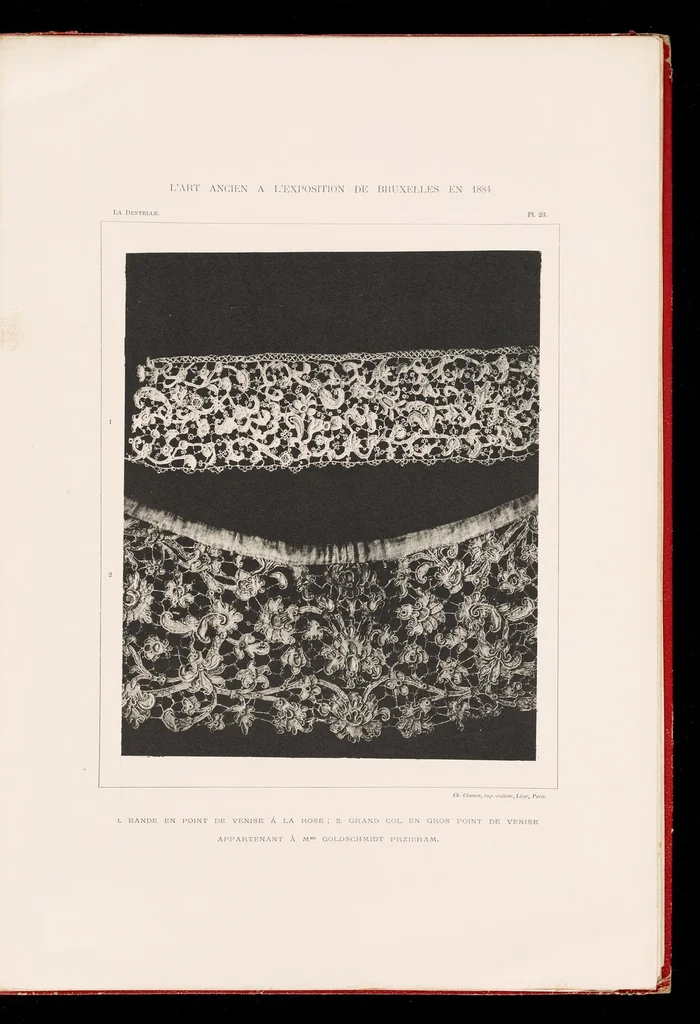 An illustration from La dentelle; 30 photographies d'après nature reproduites en phototypie, 1884, leaf 58