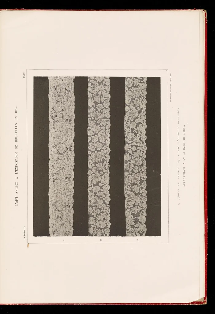 An illustration from La dentelle; 30 photographies d'après nature reproduites en phototypie, 1884, leaf 68