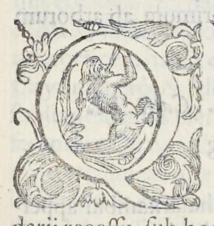 An illustration from Prosperi Alpini De plantis Aegypti liber : In quo non pauci, qui circa herbarum materiam irrepserunt, errores, deprehenduntur, quorum causa hactenus multa medicamenta ad vsum medicin[ae] admodum expetenda, plerisque medicorum, non sine artis iactura, occulta, atque obsoleta iacuerunt : accessit etiam liber de balsamo aliàs editus, 1592, leaf 12