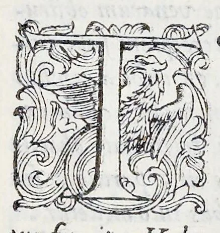 An illustration from Prosperi Alpini De plantis Aegypti liber : In quo non pauci, qui circa herbarum materiam irrepserunt, errores, deprehenduntur, quorum causa hactenus multa medicamenta ad vsum medicin[ae] admodum expetenda, plerisque medicorum, non sine artis iactura, occulta, atque obsoleta iacuerunt : accessit etiam liber de balsamo aliàs editus, 1592, leaf 136