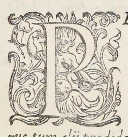 An illustration from Prosperi Alpini De plantis Aegypti liber : In quo non pauci, qui circa herbarum materiam irrepserunt, errores, deprehenduntur, quorum causa hactenus multa medicamenta ad vsum medicin[ae] admodum expetenda, plerisque medicorum, non sine artis iactura, occulta, atque obsoleta iacuerunt : accessit etiam liber de balsamo aliàs editus, 1592, leaf 6