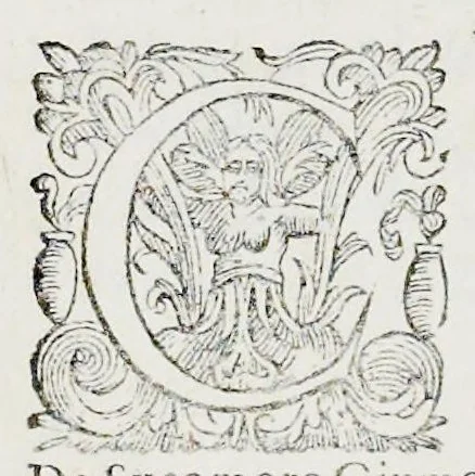 An illustration from Prosperi Alpini De plantis Aegypti liber : In quo non pauci, qui circa herbarum materiam irrepserunt, errores, deprehenduntur, quorum causa hactenus multa medicamenta ad vsum medicin[ae] admodum expetenda, plerisque medicorum, non sine artis iactura, occulta, atque obsoleta iacuerunt : accessit etiam liber de balsamo aliàs editus, 1592, leaf 9