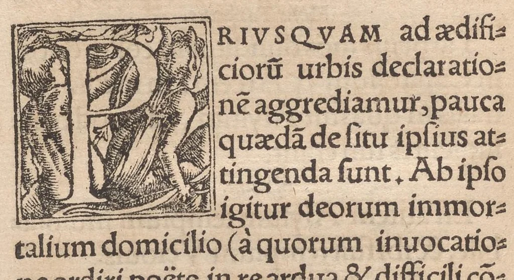 An illustration from Pomponij Laeti De antiquitatibus urbis Romae libellus longè utilissimus. Topographiae ueteris Romae Io. Bartholomaei Marliani Patricij Mediolanensis, epitome, nunc primum in lucem edita. P. Victoris De urbis Romae regionibus & locis libellus : rerum ac uerborum in hisce omnibus memorabilium index, 1538, leaf 67