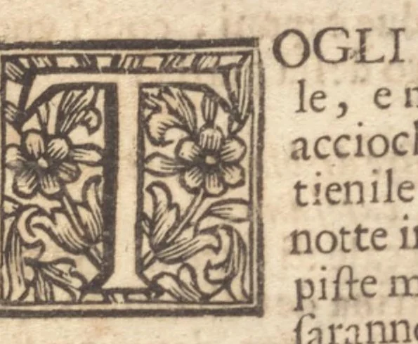 An illustration from Epulario : il quale tratta del modo di cucinare ogni carne, vccelli, e pesci d'ogni sorte : et di più insegna far sapori, torte, pastelli, al modo di tutte le prouincie del mondo, 1674, leaf 28