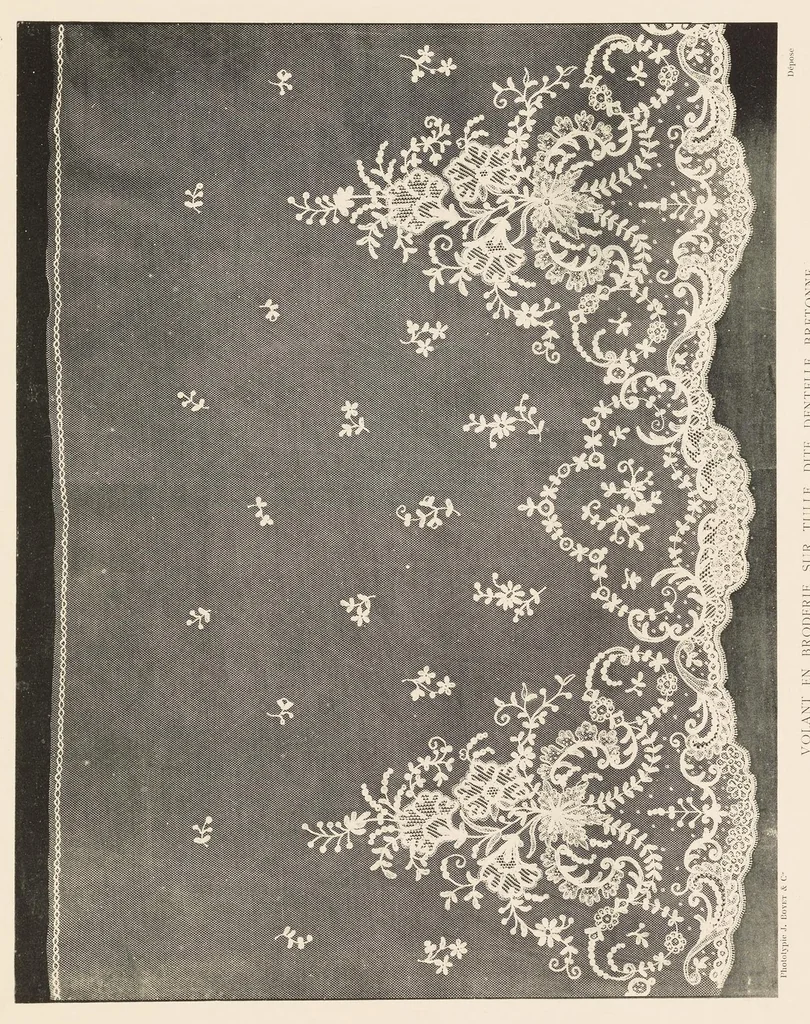 An illustration from Les dentelles à la main: dentelles aux fuseaux--dentelles à l'aiguille--dentelles à points mélangés; 135 planches, accompagnées de légendes et précédées de descriptions détaillées des différents points, 1906, leaf 310