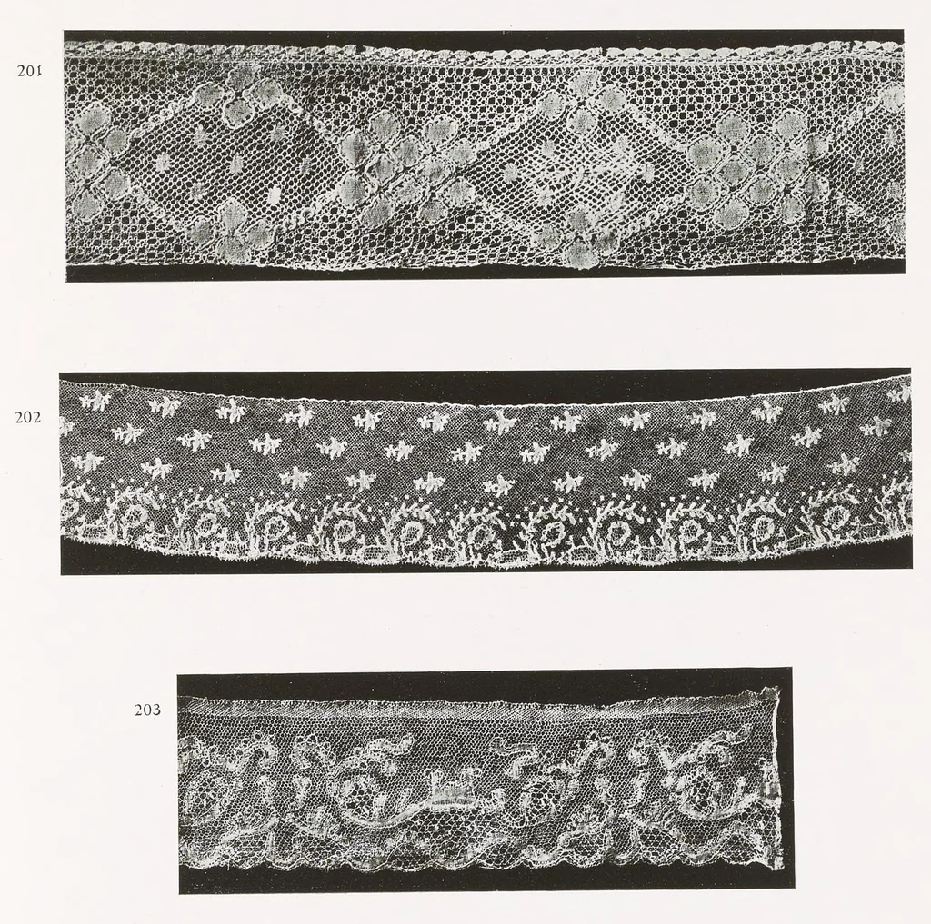 An illustration from Old Italian lace, 1913, leaf 216