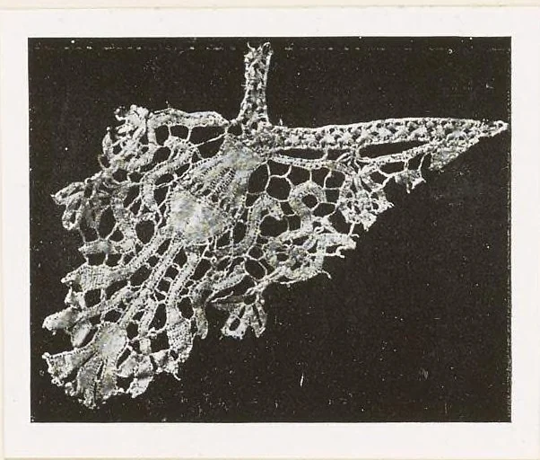 An illustration from Old Italian lace, 1913, leaf 235