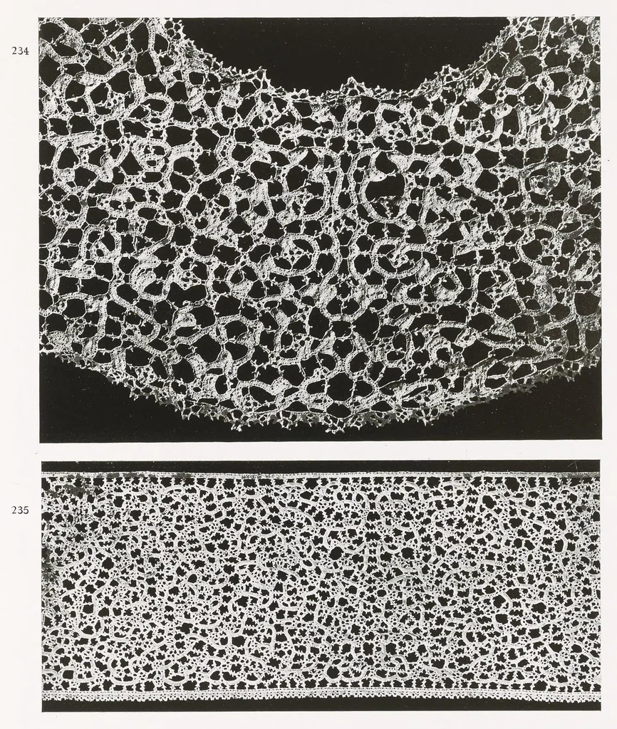 An illustration from Old Italian lace, 1913, leaf 252