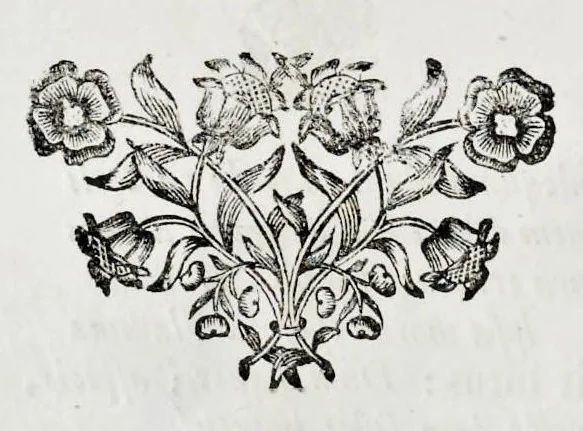 An illustration from Emin.mo ac Rev.mo Principi D. Alvaro e Soc. Jesu S. R. E. Cardinali Cienfuegos ..., 1726, leaf 19