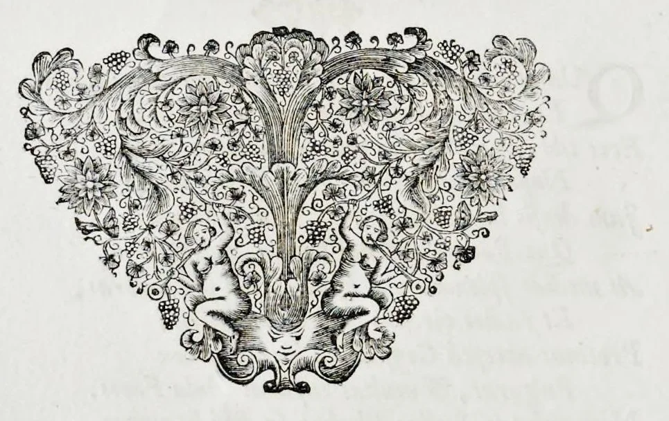 An illustration from Emin.mo ac Rev.mo Principi D. Alvaro e Soc. Jesu S. R. E. Cardinali Cienfuegos ..., 1726, leaf 21