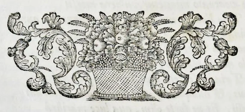 An illustration from Emin.mo ac Rev.mo Principi D. Alvaro e Soc. Jesu S. R. E. Cardinali Cienfuegos ..., 1726, leaf 35