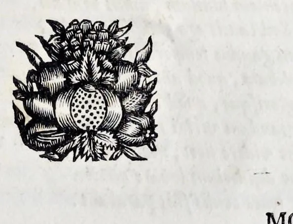 An illustration from Emin.mo ac Rev.mo Principi D. Alvaro e Soc. Jesu S. R. E. Cardinali Cienfuegos ..., 1726, leaf 44