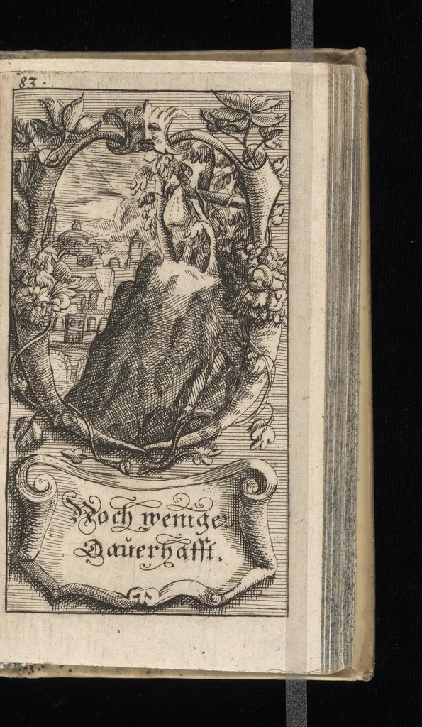 An illustration from Vernünfftige Gemühts-Beruhigung, oder, Kurze Lehr-Sätze wie die Begierden bey allen Begebenheiten vernünfftig und wol zu regieren, und die wahre Zufriedenheit zu befördern, 1684, leaf 120