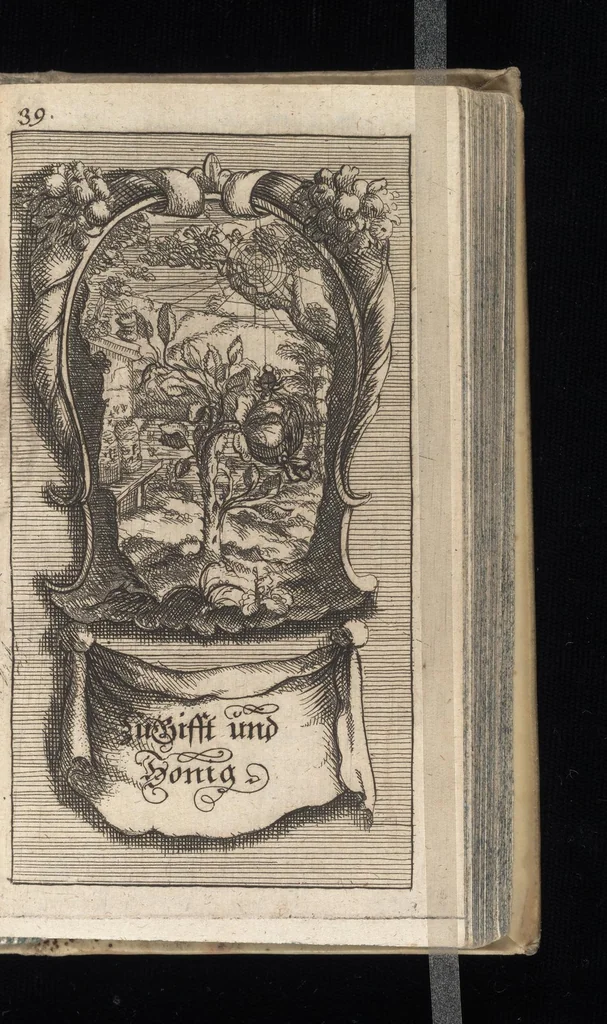 An illustration from Vernünfftige Gemühts-Beruhigung, oder, Kurze Lehr-Sätze wie die Begierden bey allen Begebenheiten vernünfftig und wol zu regieren, und die wahre Zufriedenheit zu befördern, 1684, leaf 64
