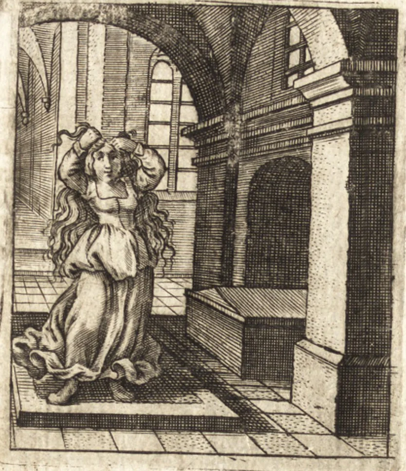 An illustration from Aegidii Albertini Hirnschleiffer, 1645, leaf 175