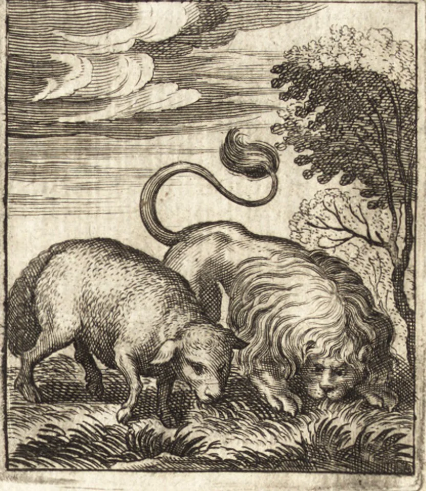 An illustration from Aegidii Albertini Hirnschleiffer, 1645, leaf 194