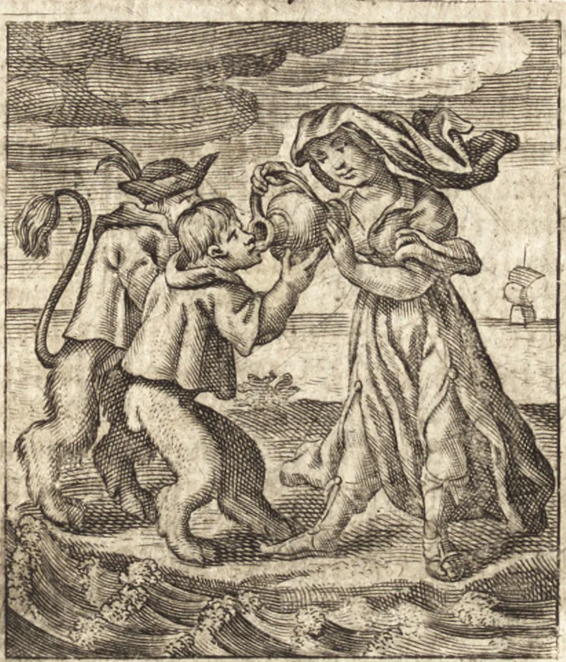 An illustration from Aegidii Albertini Hirnschleiffer, 1645, leaf 263