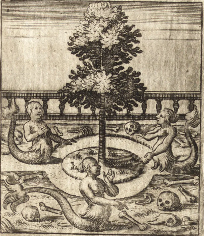 An illustration from Aegidii Albertini Hirnschleiffer, 1645, leaf 313
